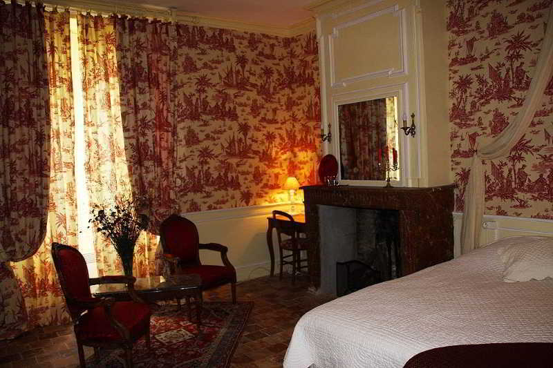 Chateau Des Reaux Chouzé-sur-Loire Dış mekan fotoğraf